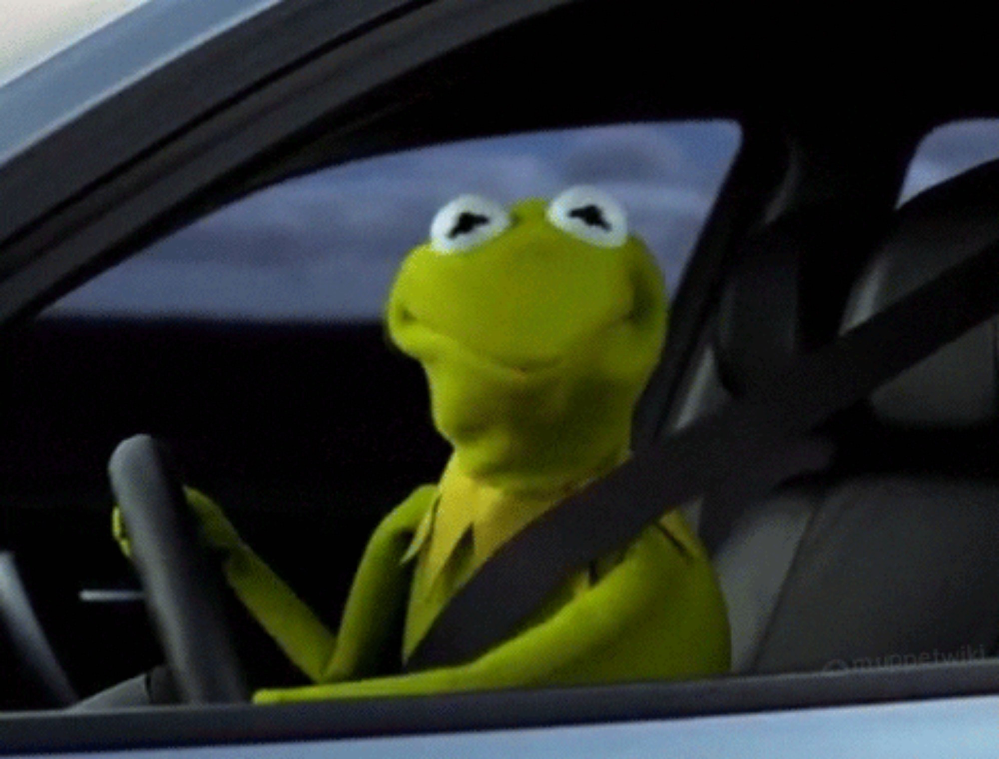 Link Preview: 
kermit the frog is wearing a seat belt while sitting in a car: ALT: kermit the frog is wearing a seat belt while sitting in a car