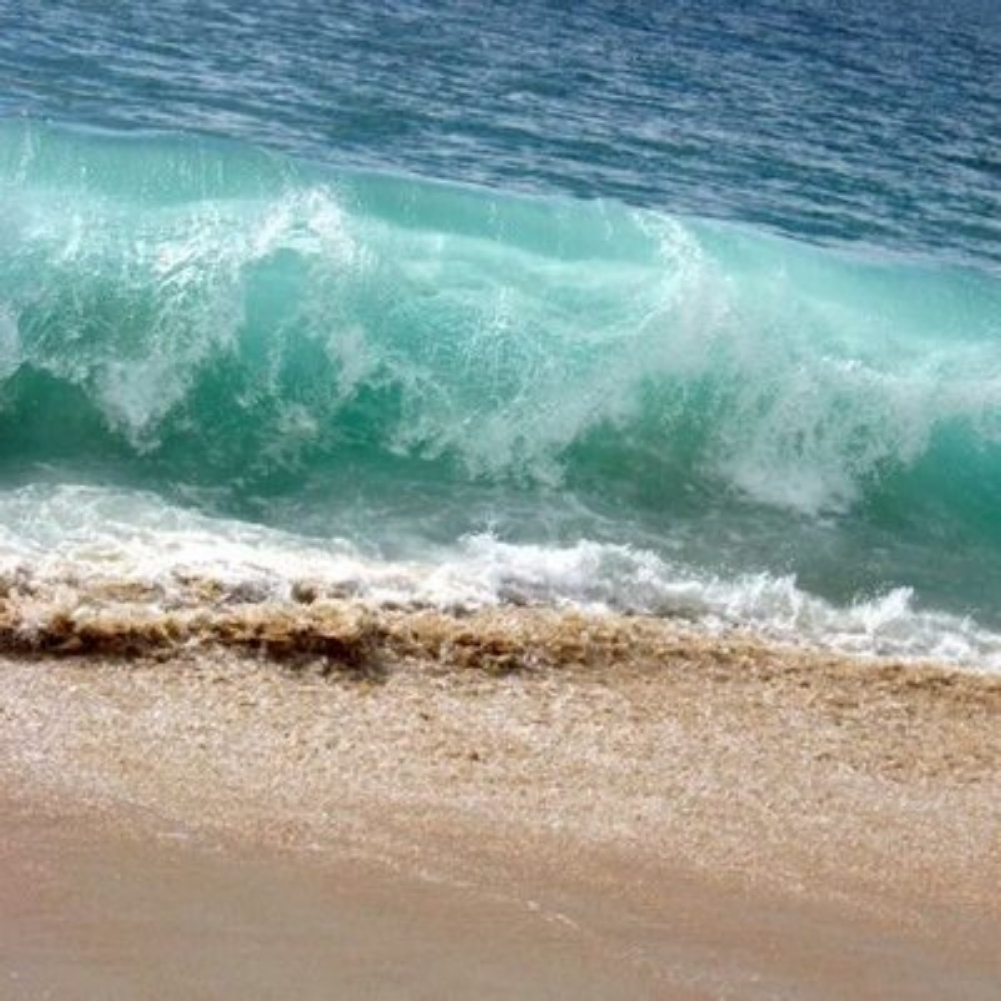 Link Preview: 
Steve Randy Waldman (@interfluidity@zirk.us): 4.43K Posts, 5.34K Following, 2.56K Followers ·