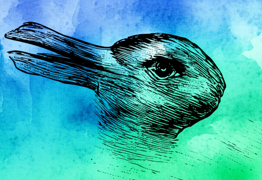 Link Preview:
Blue Bonds: Duck or Rabbit?: Chronicle of a Summer by Will Beaman We are living through a strange reversal of the monetary story many of us have spent the last decade telling. Modern Monetary Theory helped a broader public see…