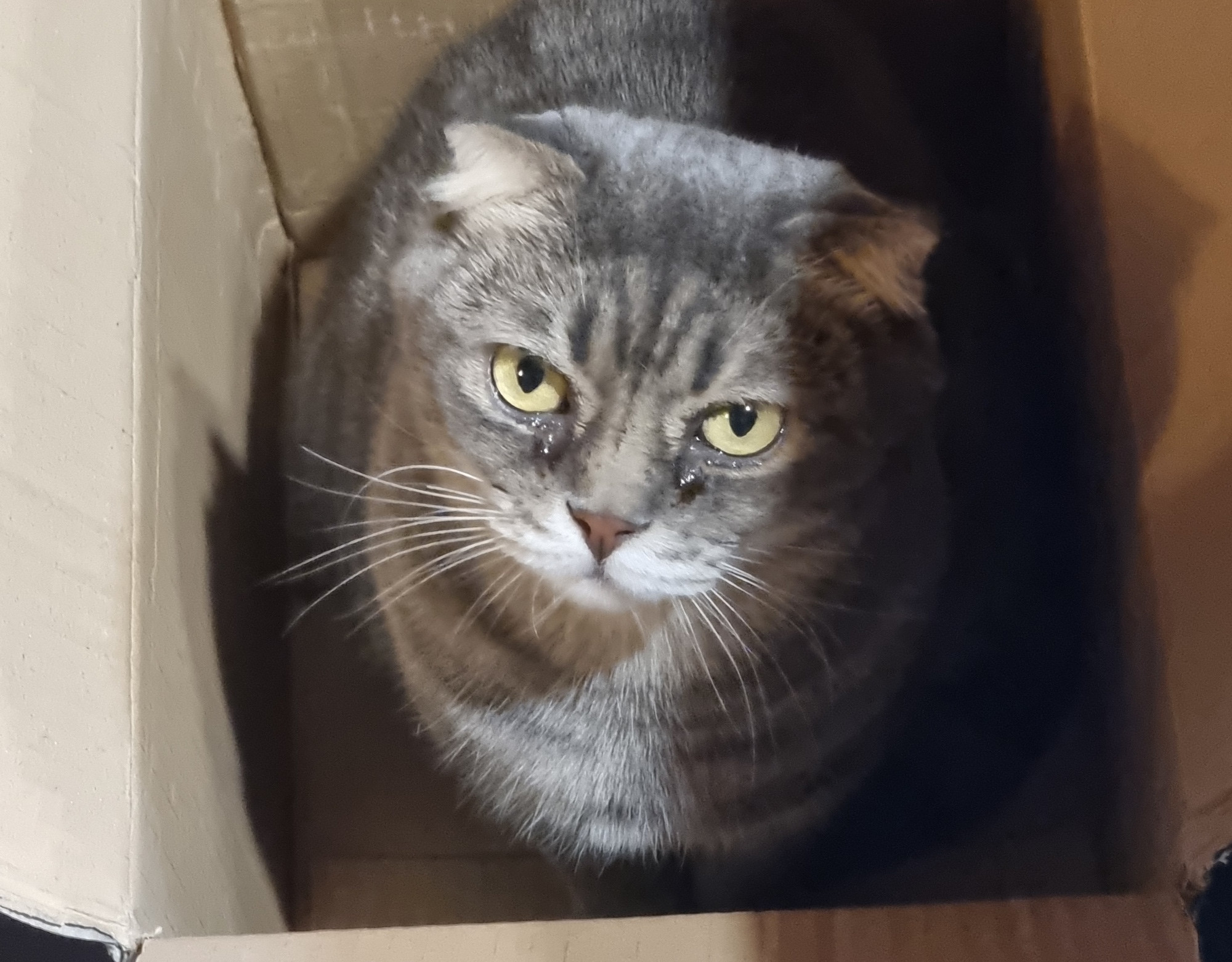 Link Preview: 
Outsourced Voices, Outsourced Minds: We are not machines, or automatons. We were fooled, but we can fight back. Don’t let algorithms control your thoughts and actions.