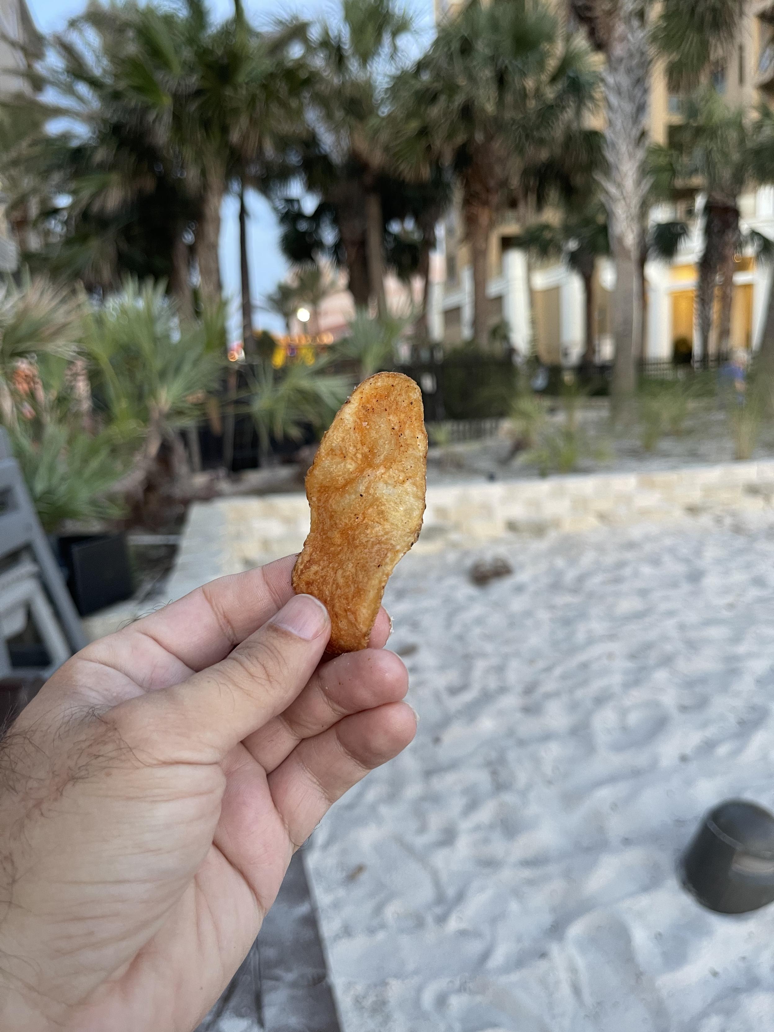 photo of a vaguely phallic potato chip.