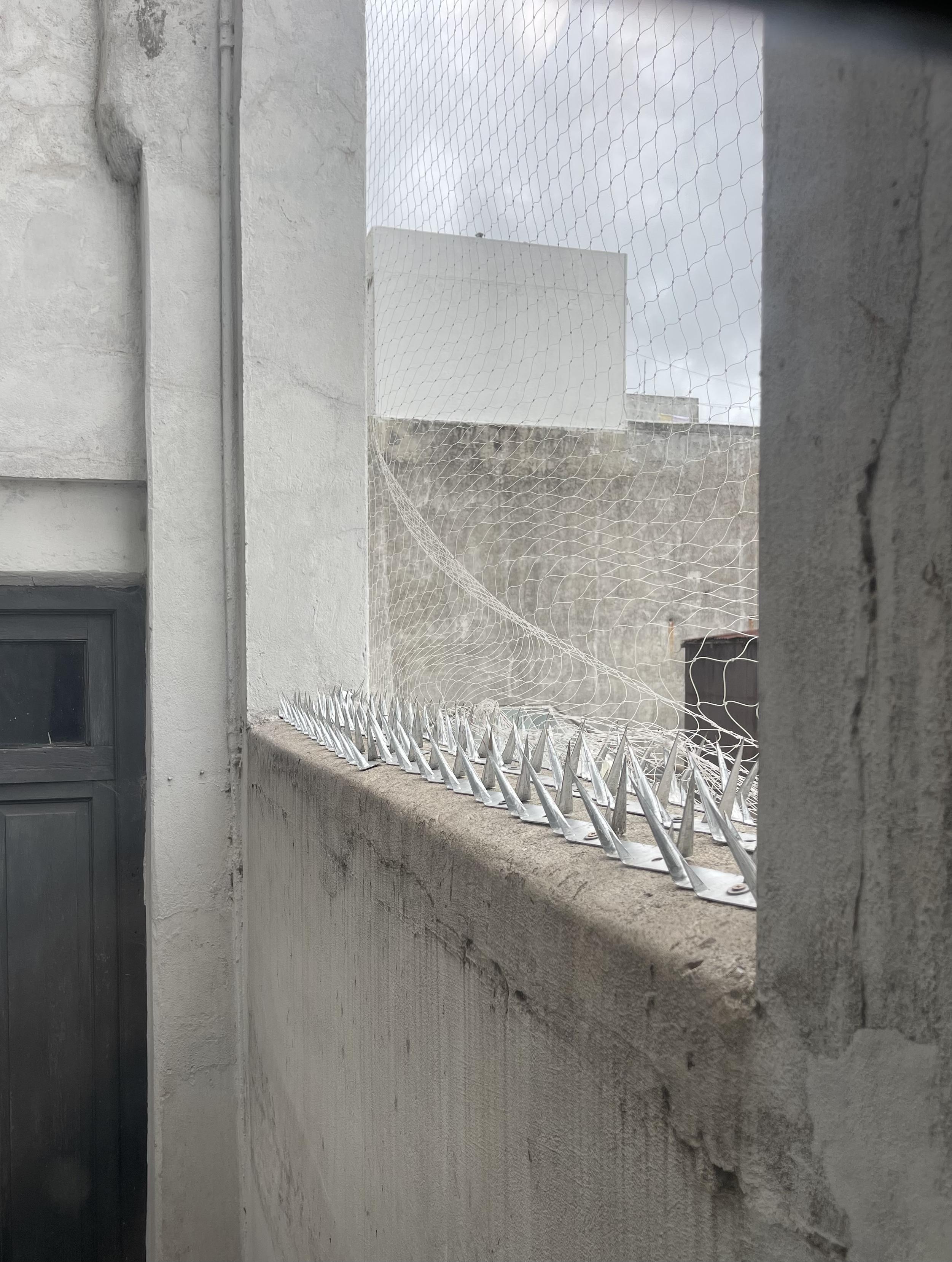 a photo of spikes and netting intended to discourage pigeons.